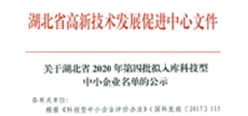 恭喜我司獲得武漢市“科技型中小企業(yè)”榮譽(yù)稱號(hào)！
